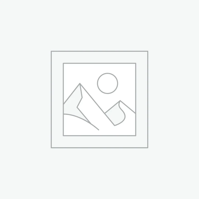 CCGX WiFi module simple (Nano USB)